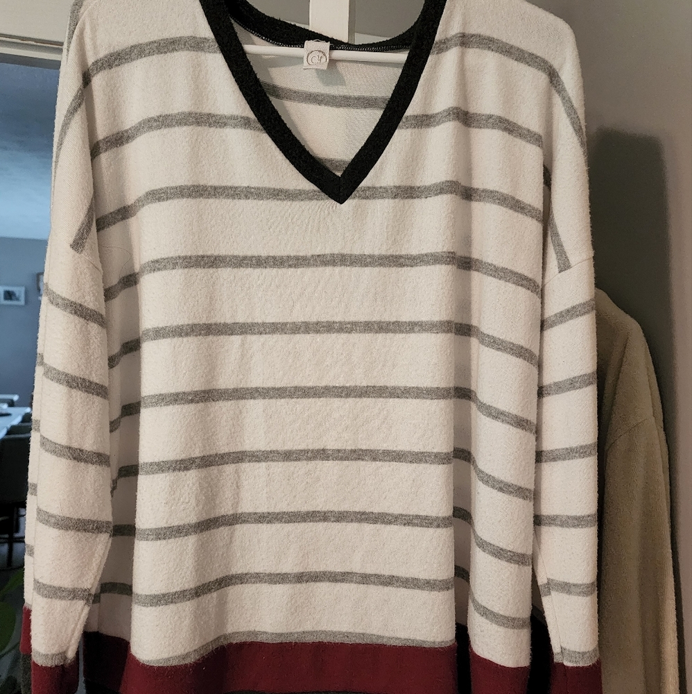 SOFT!!! Ladies vneck sweater, size M (will fit a L too)